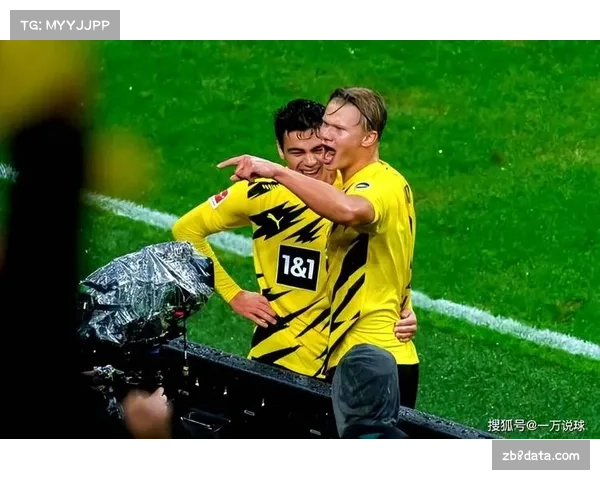 霍芬海姆vs多特蒙德：欧冠资格争夺关键战役